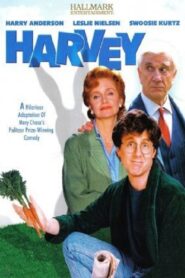 Harvey 1996 one on netflix