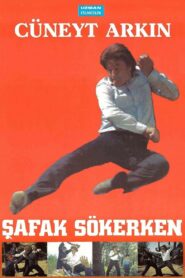 Şafak Sökerken 1988 one on netflix