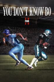 You Don’t Know Bo 2012 one on netflix