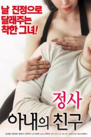 An Affair: My Wife’s Friend 2018 one on netflix