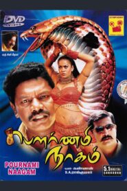 Punnami Nagu 2009 one on netflix