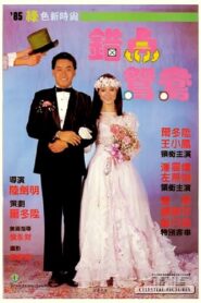 Love with the Perfect Stranger 1985 one on netflix