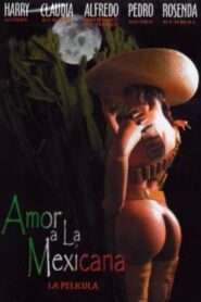 Amor a la mexicana 2003 one on netflix