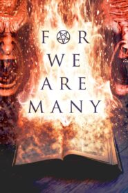 For We Are Many 2019 one on netflix