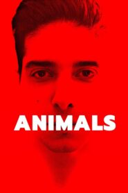 Animals 2022 one on netflix