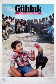 Gülibik 1984 one on netflix