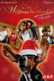 Der Weihnachtshund 2004 one on netflix