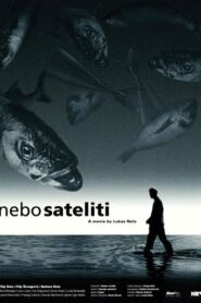 Celestial Body 2000 one on netflix