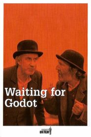 Waiting for Godot 2001 one on netflix