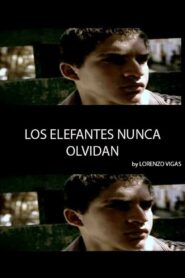 Elephants Never Forget 2004 one on netflix