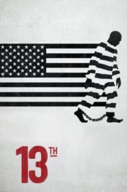 13th 2016 one on netflix