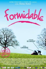 Formidable 2008 one on netflix