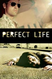 Perfect Life 2010 one on netflix