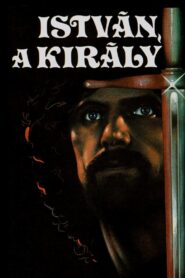 Stephen, the King 1984 one on netflix