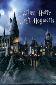 When Harry Left Hogwarts 2011 one on netflix