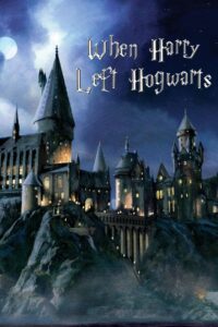 When Harry Left Hogwarts 2011 one on netflix