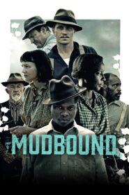 Mudbound 2017 one on netflix