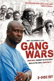 Gang War: Bangin’ in Little Rock 1994 one on netflix