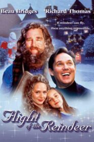 The Christmas Secret 2000 one on netflix
