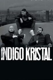 Indigo Crystal 2023 one on netflix