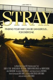 Stray 2015 one on netflix