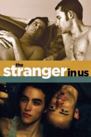 The Stranger in Us 2010 one on netflix
