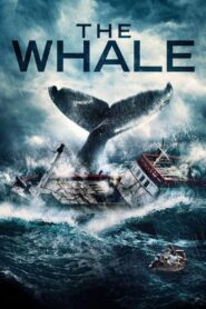 The Whale 2013 one on netflix