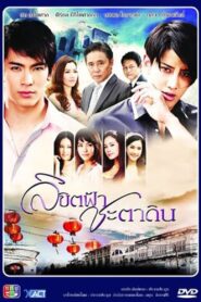 Fated Heaven Fortune and Earth 2012 one on netflix