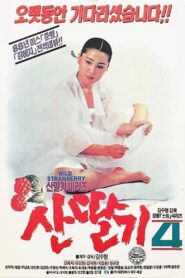 Mountain Strawberries 4 1991 one on netflix