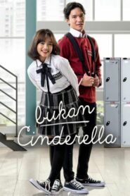 Bukan Cinderella 2022 one on netflix