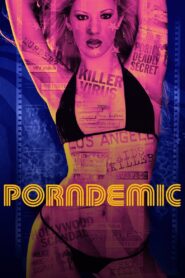 Porndemic 2018 one on netflix