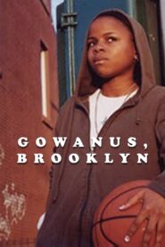 Gowanus, Brooklyn 2004 one on netflix