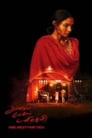 Anel Meley Pani Thuli 2022 one on netflix