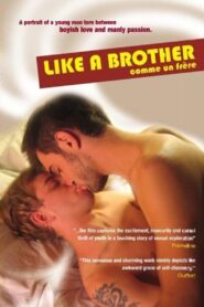 Like a Brother 2005 one on netflix
