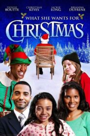 What She Wants for Christmas 2012 one on netflix