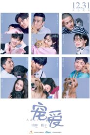 Adoring 2019 one on netflix