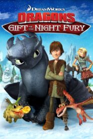 Dragons: Gift of the Night Fury 2011 one on netflix