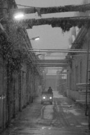 Abhängig 1984 one on netflix