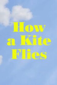 How a Kite Flies 2017 one on netflix