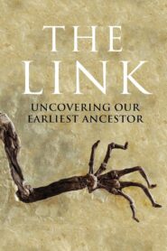 Uncovering Our Earliest Ancestor: The Link 2009 one on netflix