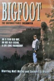 Bigfoot: The Unforgettable Encounter 1994 one on netflix