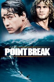 Point Break 1991 one on netflix