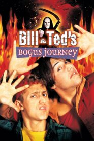 Bill & Ted’s Bogus Journey 1991 one on netflix