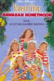 Parent Trap: Hawaiian Honeymoon 1989 one on netflix