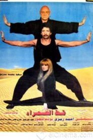 Desert Cat 1995 one on netflix