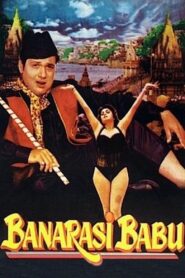 Banarasi Babu 1997 one on netflix