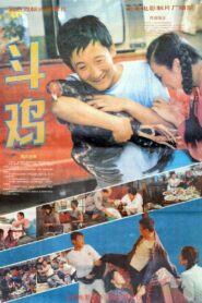斗鸡 1990 one on netflix
