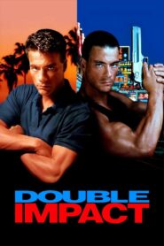 Double Impact 1991 one on netflix