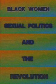 Black Women, Sexual Politics and the Revolution 1992 one on netflix