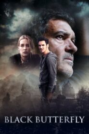 Black Butterfly 2017 one on netflix